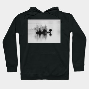 The Preacher - Black Cormorant Hoodie